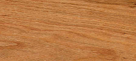 northern red oak