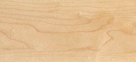 hard white maple