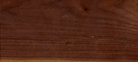 american black walnut