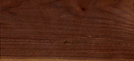 american black walnut